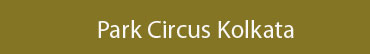 Packers and Movers Park Circus